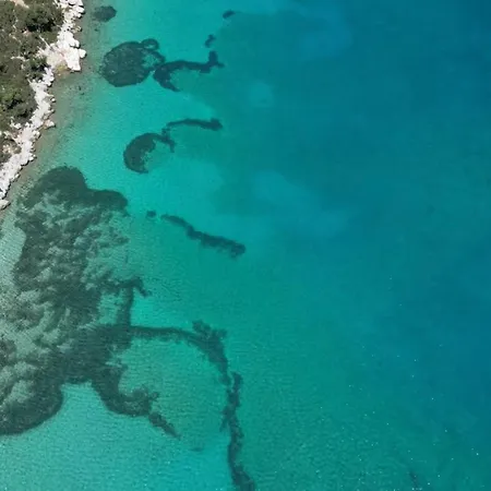 Blue Time Boutique *